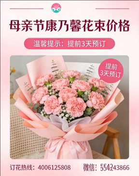 驻马店泌阳县花店母亲节康乃馨花束