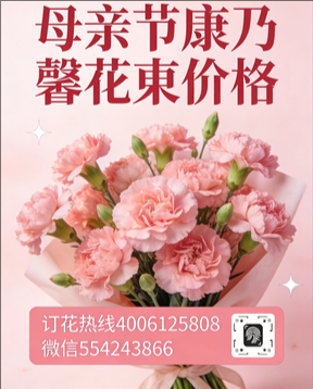 驻马店泌阳县花店母亲节康乃馨花束